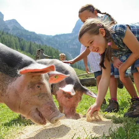 Daire Haus Vogelmuehle